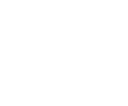 Evolution games at Bitcoza Casino